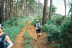 BIB: 
                            <button type="button" onclick="openModal(25697699)" class="btn btn-primary btn-sm float-right btn-popup" data-toggle="modal" data-target=".modal-high-quality">
                        <i class="fas fa-shopping-cart"></i> Add to Cart
                    </button>
                                            <button type="button" onclick="isThisMe(25697699, true)" class="btn btn-success btn-sm float-right btn-popup btn-isme hidden" data-toggle="tooltip" data-placement="bottom" title="นี่คือรูปของคุณใช่ไหม คลิกที่นี่เพื่อเอาเข้าอัลบั้ม">
                        <i class="fas fa-plus"></i> Add to album
                    </button>
                    <button type="button" onclick="isThisMe(25697699, false)" class="btn btn-warning btn-sm float-right btn-popup btn-isnotme hidden">
                        <i class="fas fa-ban"></i> Remove from album
                    </button>